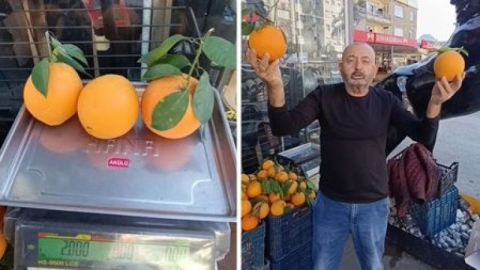 Manavgatlı portakal üreticisinden başkan Kara'ya teşekkür