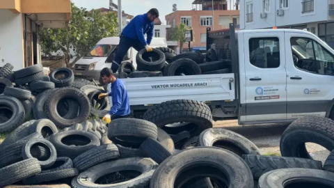Sineklerin üreme alanı olan lastikler toplanıyor