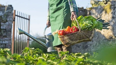 Tarım cazip hale getirilmeden fiyatlar düşmez