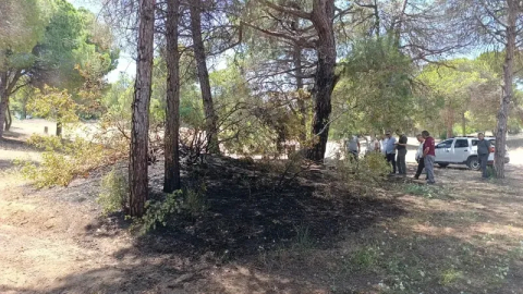 Sorgun Çamlığı’nda örtü ve çalılık yangını