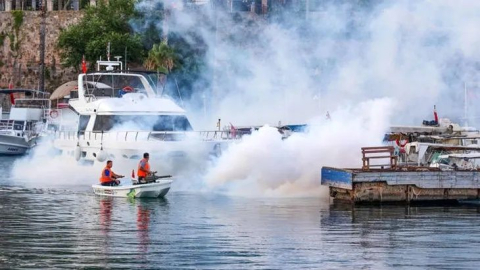 Antalya’nın her köşesinde vektörle mücadele