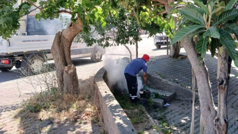 Emek Mahallesi muhtarından Büyükşehir’e sinekle mücadele teşekkürü