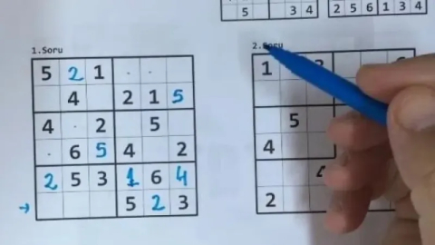 Unutkanlığa karşı bulmaca yerine sudoku çözün!