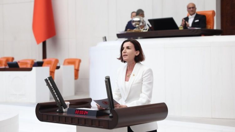 Aliye Coşar: Muhittin Böcek sağlık durumu nedeniyle tahliye edilmeli