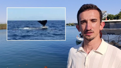 Manavgat Side’de 15 metrelik balina görüntülendi