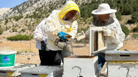 Gündoğmuş Kaymakamı, Gündoğmuş Balı hasadına katıldı