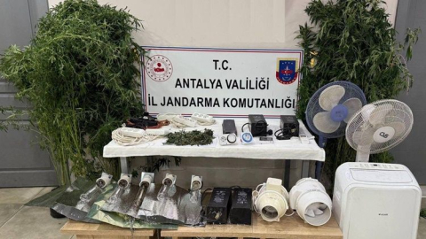 Manavgat'ta evde sera kurup uyuşturucu yetiştiren şahıs yakalandı