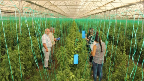 Büyükşehir’den üreticiyi eğitim desteği