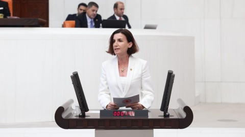CHP Antalya Milletvekili Coşar: Alara Çayı yine HES tehdidi altında