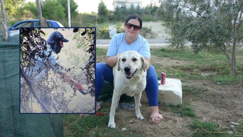 Köpeğe taciz zanlısına jandarma operayonu