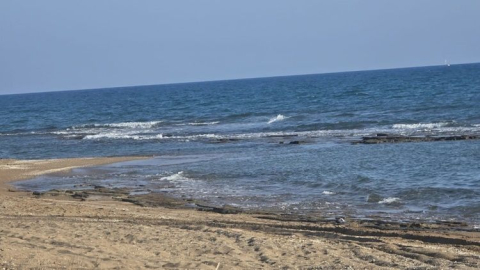 Sefer Ardıç, girdiği denizde yaşamını yitirdi