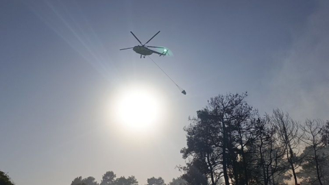 Gültepe Yeniköy yolunda 4 hektar ormanlık alan yandı