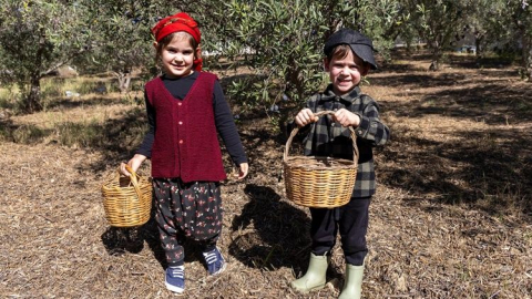 Manavgat'ın minik elleri zeytin hasadı yaptı