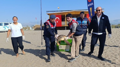 Tedavisi tamamlanan Zühal denize geri döndü