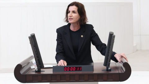 Aliye Coşar'dan ekonomik ve siyasi kriz değerlendirmesi