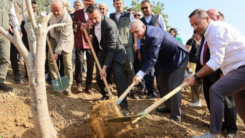 Başkan Vekili Çiçek fidan dikimine katıldı