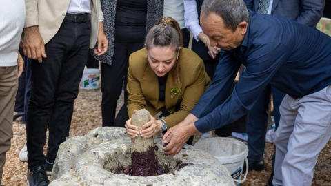 Manavgat'ın binlerce yıllık mirası Zeytin Festivali'nde hayat buldu