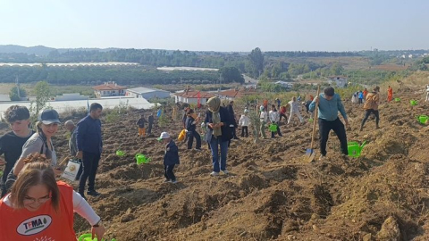 Milli Ağaçlandırma Günü'nde zeytin ağaçları dualarla ekildi