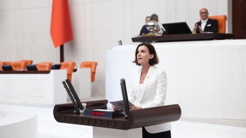 Aliye Coşar'dan sağlık yatırımları eleştirisi