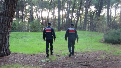 Manavgat Jandarma'dan ormanlık alanlarda sıkı denetim