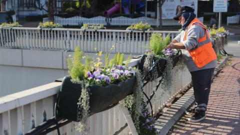 Antalya’da 4 milyon çiçek toprakla buluşuyor