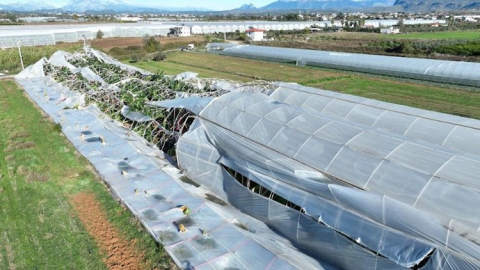 Antalya Büyükşehir'den Manavgatlı hortumzede seracılara destek