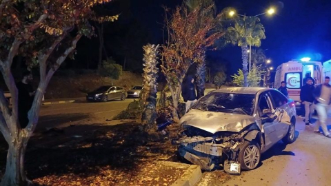Palmiyeye çarpan otomobilin sürücüsü yaralandı