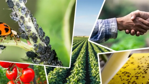 Tarım ve Orman Bakanlığı'ndan çiftçiye yeni destek paketi: Tebliğ değişti