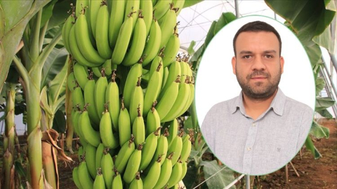 Başkan Önem Gök'ten muz üreticisine müjdeli haber