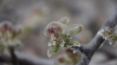 Manavgat Kaymakamlığından kritik hava durumu uyarısı