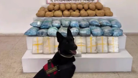 Operasyonlarda 1 tonu aşkın uyuşturucu ele geçirildi