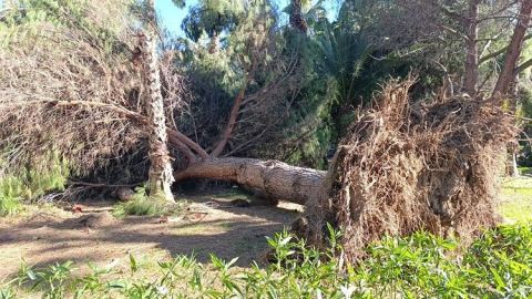 Manavgat’ta hortum dehşeti: Seralar yerle bir oldu, çatılar havada uçuştu