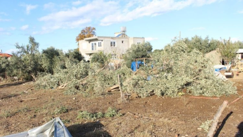 Hortum mağduru çiftçiye Antalya Büyükşehir Belediyesinden destek eli