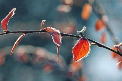 Meteorolojiden Manavgat ve çevresi için dondurucu soğuk uyarısı