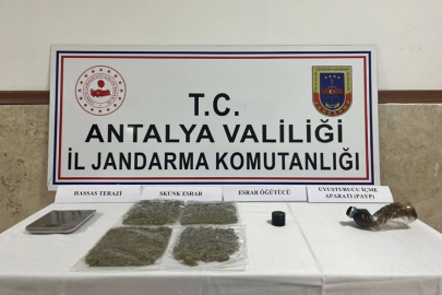 Manavgat'ta zehir tacirlerine jandarma darbesi