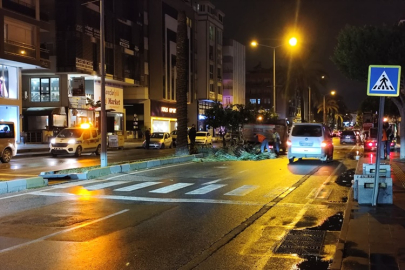 Manavgat’ta şiddetli fırtına: Dev palmiye yola devrildi