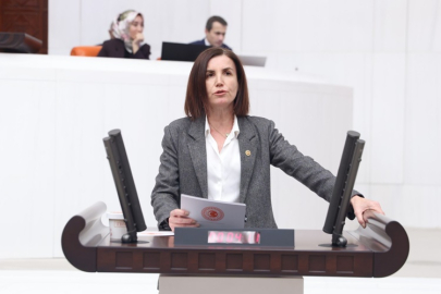 CHP’li Aliye Coşar’dan emekli maaşı tepkisi: Emekli yok sayılıyor