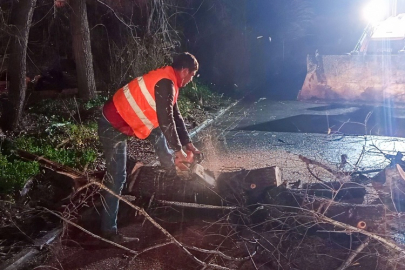 Manavgat Belediyesi'nden hortum zararına hızlı müdahale
