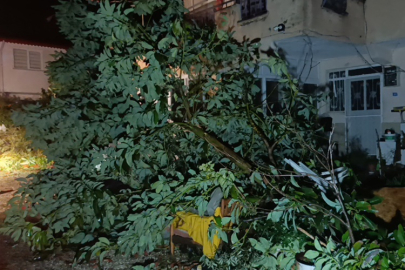 Manavgat Çolaklı’yı hortum ve kasırga vurdu