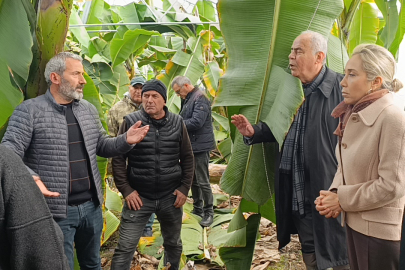 Manavgat’ta hortumdan 300 dönüm sera zarar gördü