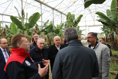 Hortumdan zarar gören seralarda inceleme: Destek süreci başlıyor