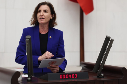 Coşar, çiftçilerin zararlarının giderilmesini TBMM gündemine taşıdı