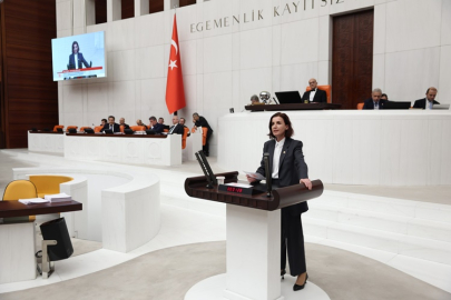 CHP Antalya Milletvekili Coşar: Sadece ceza artırımıyla trafik kazaları engellenmez