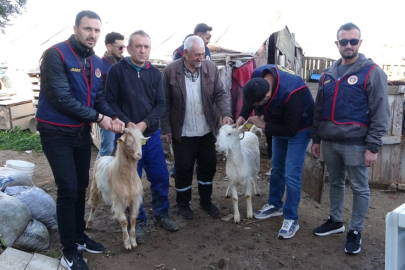 Çalınan koyun ve keçiler jandarmanın özverili çalışmasıyla bulundu 