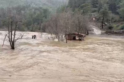 Düzağaç Mahallesi’nde tomruklar yolu kapattı
