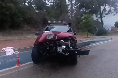 Direksiyon hakimiyetini kaybeden alkollü sürücü palmiyeyi devirdi