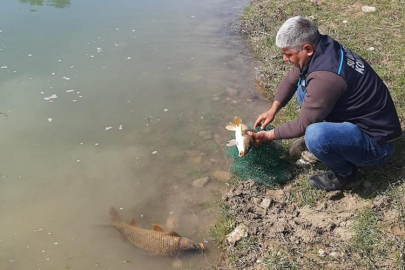 Manavgat’ın iç sularında kaçak avcılığa geçit yok