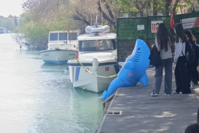 Manavgat ırmak kenarında köpek balığı sürprizi: Genç stajyer vatandaşları eğlendirdi