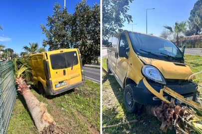 D-400 Karayolunda kaza: Kontrolden çıkan araç palmiyeyi devirdi