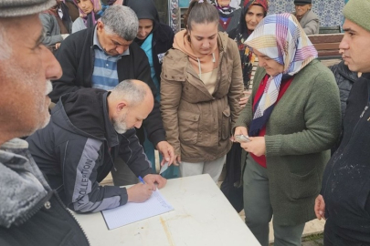 Manavgat'ta asırlık zeytin ağaçları için "kesilmesin" çağrısı